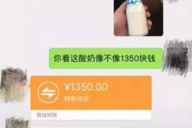 衡水遇到恶意拖欠？专业追讨公司帮您解决烦恼